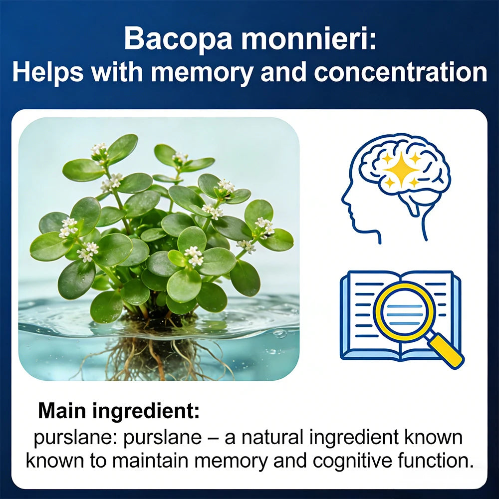 Brain Booster - Nootropic Supplement