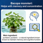 Brain Booster - Nootropic Supplement
