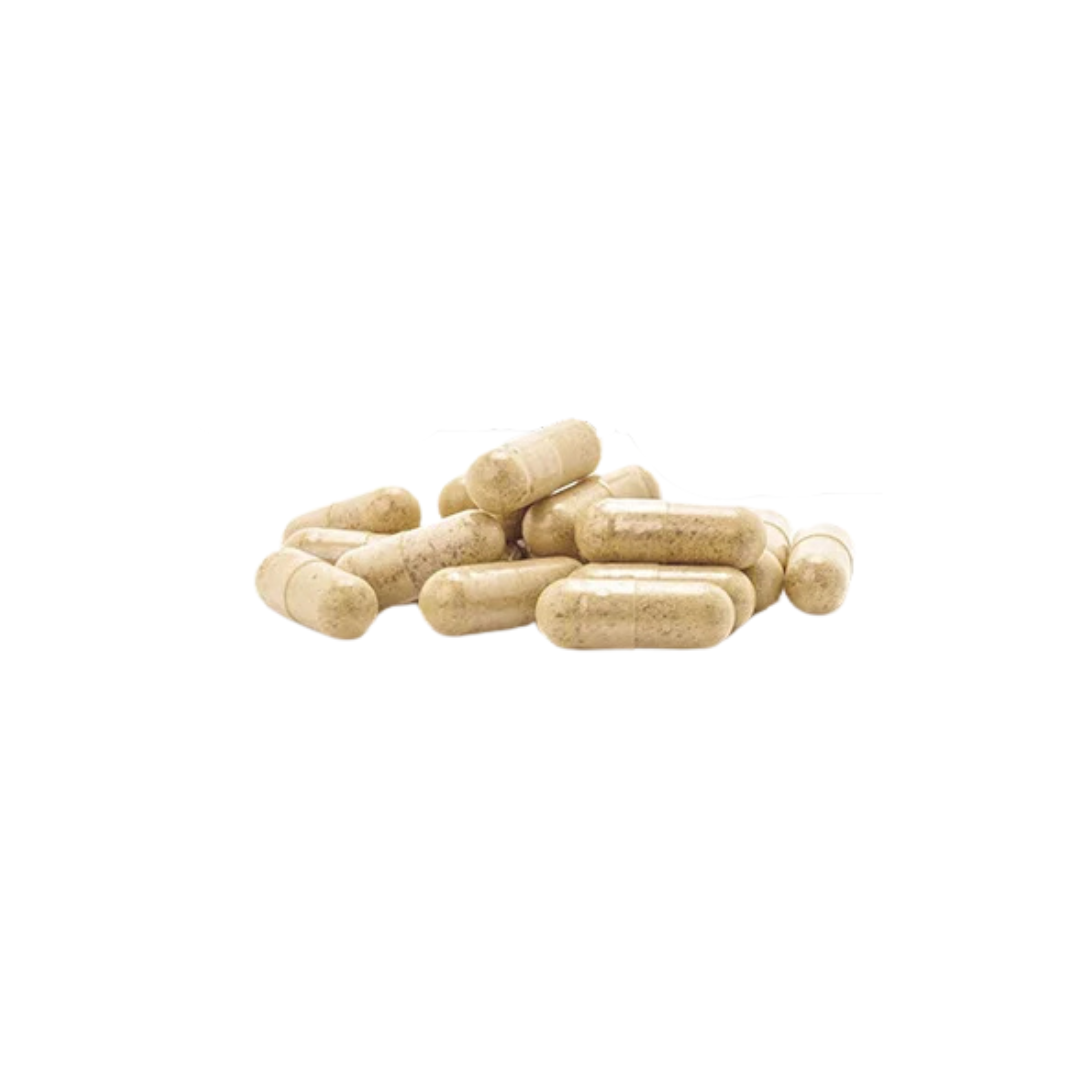 Brain Booster - Nootropic Supplement