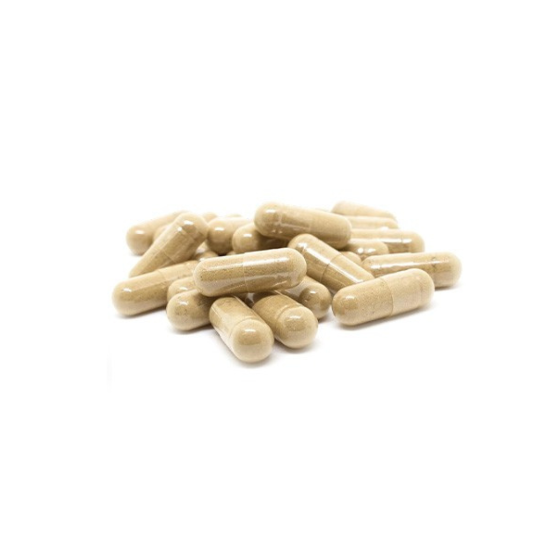 Cartilage Revive + Joint Support Supplement